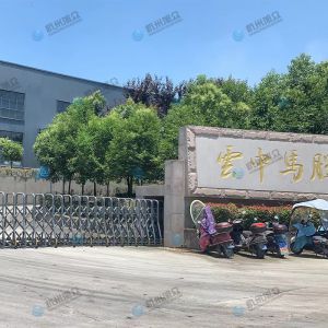 松陽的客戶，調試30型包子機完成！